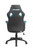 BraZen Gaming Chairs Puma PC Gaming Chair Black/Blue