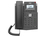 Fanvil X3SG LITE telefon VoIP Czarny 2 linii LCD