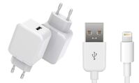 USB Charger for iPhone & iPad 12W 5V 2.4A Output: Single USB-A with 1meter lightning Cable Ladegeräte für mobile Geräte
