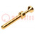Contact; male; copper alloy; gold-plated; 0.14÷0.37mm2; crimped