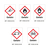 Modellbeispiele: GHS-Gefahrstoffsymbole Gefahr (Art. 30.b1110)