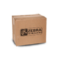Zebra P1046696-099 testina stampante