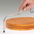 Westmark Simplex Edelstahl Draht-Kuchen Slicer