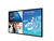 Philips 65BDL6051C/00 beeldkrant Interactief flatscreen 163,8 cm (64.5") Wifi 350 cd/m² Zwart Touchscreen 12/7