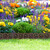 Relaxdays Beeteinfassung Metall, dekorative Rasenkante, 3 Zaunelemente, HxB 8 x 274,5 cm, Beetzaun für den Garten, braun