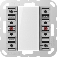 Tastsensor-Modul 1fach AC/DC24V 1-k. 2Sp. A 5212 TSM