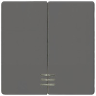 Wippe, Fenster, 2-fach, 55 x 55 mm, carbonmetallic, für Serienschalter, 5TG6224