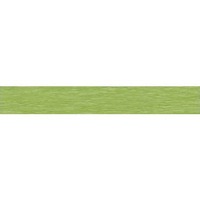 Krepppapier Werola, 50x250cm, weißgrün WEROLA 12061145