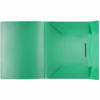 Sammelmappe A4 PP 16mm Rücken vollfarbig grün