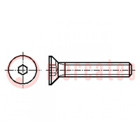 Schraube; M10x30; 1,5; Kopf: Senkkopf; Sechskant; HEX 6mm; Stahl