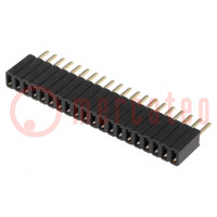 Socket; pin strips; female; PIN: 20; straight; 1.27mm; THT; 1x20