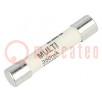 Fuse: fuse; ultra rapid; 250mA; 1kVAC; ceramic,cylindrical; brass