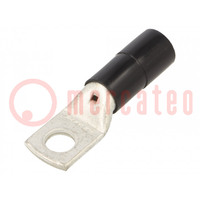 Terminale: occhiello con tubo; M14; Ø: 14,5mm; 95mm2; da crimpare