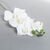 Artificial Silk Phalaenopsis, Real Touch - 70cm, White