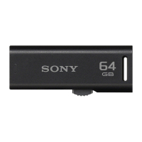 Sony USM64GR unidad flash USB