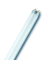Osram L 30 W/865 fluorescent bulb