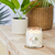 Yankee Candle Coconut Beach Wachskerze Zylinder Weiß 1 Stück(e)