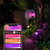 Philips Hue White and colour ambience Impress Outdoor wall light