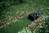 EcoFlow Blade Pojemnik na ściętą trawę kosiarki do trawy