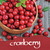 ONLINE Tintenglas 15ml 17066/3 Dufttinte Cranberry - Red