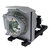 PANASONIC PT-CW241R Module de lampe de projecteur (ampoule compatible à l