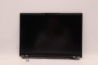 14-inch WUXGA hybrid display assembly