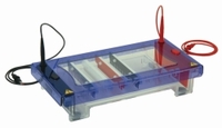 Vasca per elettroforesi gel MultiSUB Choice Descrizione MultiSUB Choice Stretch 20