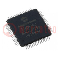 IC: controlador Ethernet; 10/100Base-T; SPI / flexible Parallel