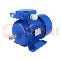 Motor: AC; 1-phasen; 0,75kW; 230VAC; 1410Umdr./Min; 5,08Nm; IP54