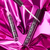 Essence 946646 Lipgloss 4,2 ml 03 Pepper Me Up!