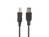 Lanberg CA-USBA-15CU-0010-BK USB cable USB 2.0 1 m USB B Black