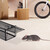 Relaxdays Lebendfalle für Mäuse & Ratten, tierfreundliche Nagetierfalle, HxBxT: 11,5 x 38 x 14 cm, Mäusefalle, schwarz