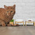 Relaxdays Katzennapf Set mit Katzengras Schale, 2 Keramiknäpfe je 350 ml, Bambus-Ständer, spülmaschinenfest, natur/weiß