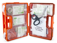GERMAN WORKPLACE FIRST AID KIT DIN 13157 UP TO 50 EMPLOYEES