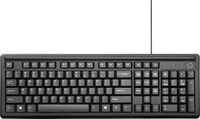 Keyboard 100 NL 100, Full-size (100%), USB, Billentyuzetek (külso)