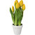 Tulipani, real touch, in vaso di ceramica