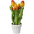 Tulpen, real touch, in keramische pot