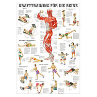 Mini-Poster &quot;Krafttraining Beine&quot;, Muskelaufbau, Fitness, Bodybuilding, 34x24 cm, Nicht Laminiert