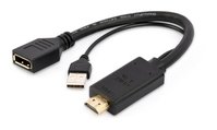 Gembird A-HDMIM-DPF-01 video kabel adapter 0,1 m HDMI Type A (Standaard) DisplayPort + USB Type-A Zwart