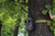 Technaxx 4987 cámara de vigilancia Caja Exterior 2560 x 1440 Pixeles Pared