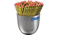 STAEDTLER Crayon Noris, hexagonal, pot de fleurs de 144 (5653684)