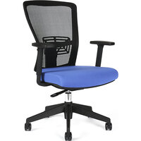 Obrotowe krzesło biurowe THEMIS BP