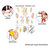 Hand-Akupunktur Mini-Poster Anatomie 34x24 cm medizinische Lehrmittel, Laminiert