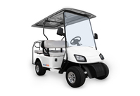 Titelbild: Elektro Golfcart GCE2/2, 4000 W, SolidHub