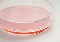 Cell and Tissue Culture Dishes Nunc™ EasYDish™ PS sterile