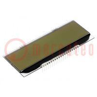 Display: LCD; grafico; 240x64; FSTN Positive; bianco; 94x38,1mm