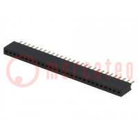 Socket; pin strips; female; PIN: 28; straight; 1.27mm; THT; 1x28