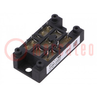 Bridge rectifier: three-phase; Urmax: 1.6kV; If: 80A; Ifsm: 600A