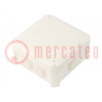 Enclosure: junction box; X: 114mm; Y: 114mm; Z: 57mm; IP66; white