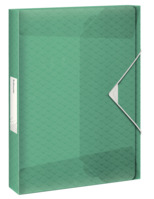 Ablagebox Colour'Breeze, A4, PP, 25mm, grün